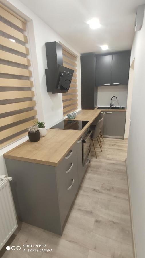 Popasu Din Oras Apartamento Baia Mare Exterior foto