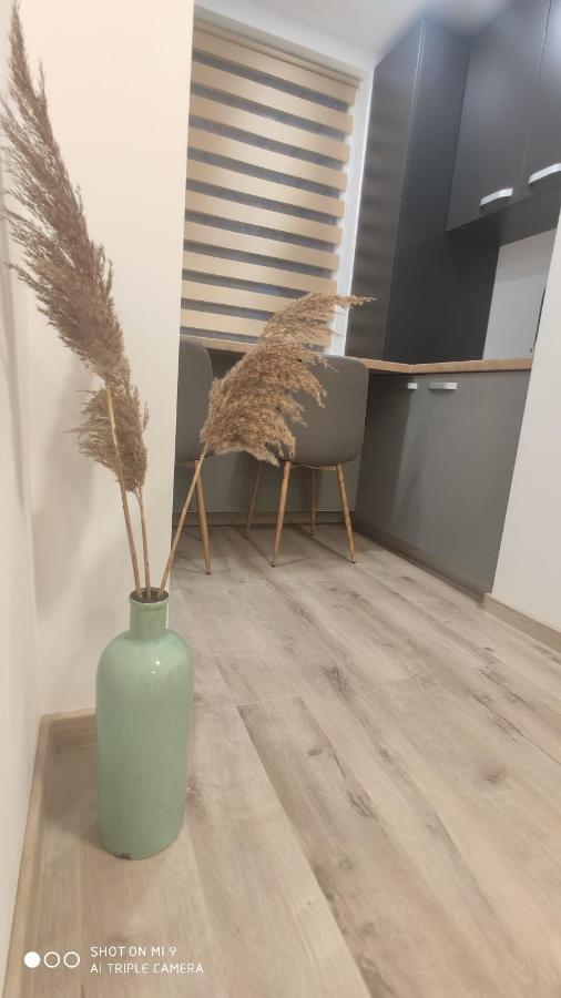 Popasu Din Oras Apartamento Baia Mare Exterior foto